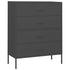Lady Jillian -  Chest of Drawers Anthracite 80x35x101,5 cm Steel